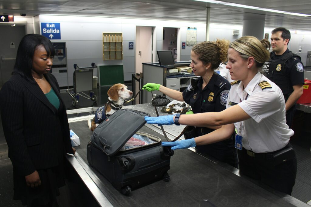 5 Things You Didn’t Know Could Get You Fined at the Airport