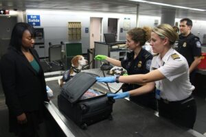 5 Things You Didn’t Know Could Get You Fined at the Airport
