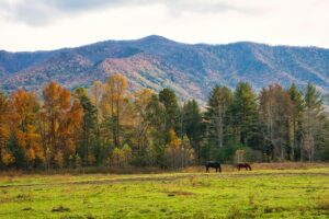 best national parks to visit in the fall